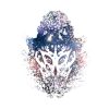 1905767 1 6 - Bloodborne Store