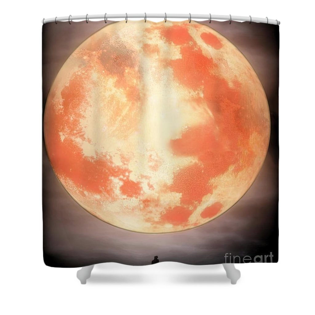 Bloodborne Moon Shower Curtain
